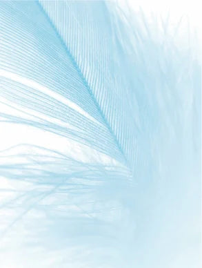 PureBalance™ – Moisturizer for Dry & Sensitive Skin — Soothes, Hydrates & Restores Balance